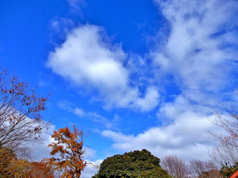 空3