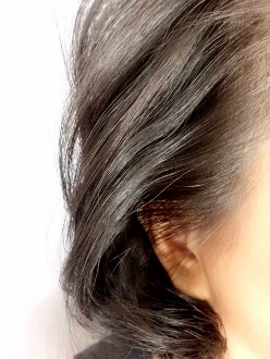 081 (248x330).jpg