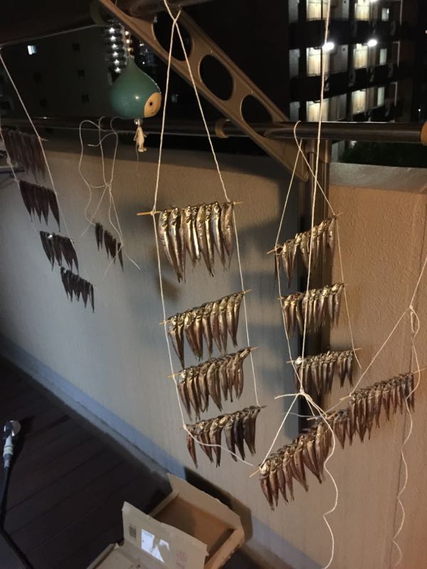 rblog-20150928000307-01.jpg