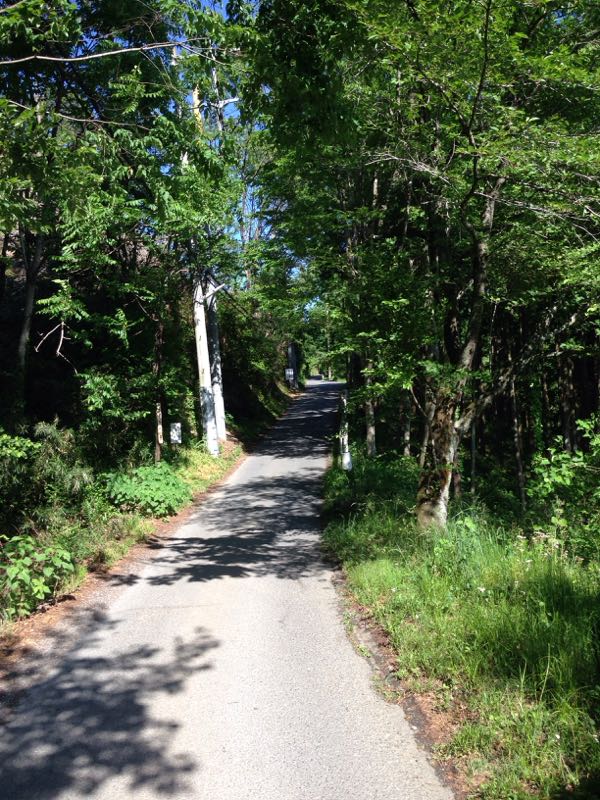 rblog-20150521152938-00.jpg