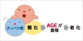 ＡＧＥ.jpg