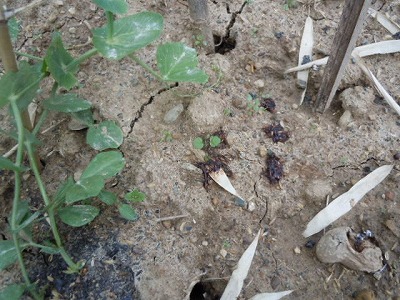 DSCN3317.jpg