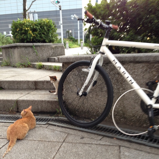 rblog-20130918020226-00.jpg