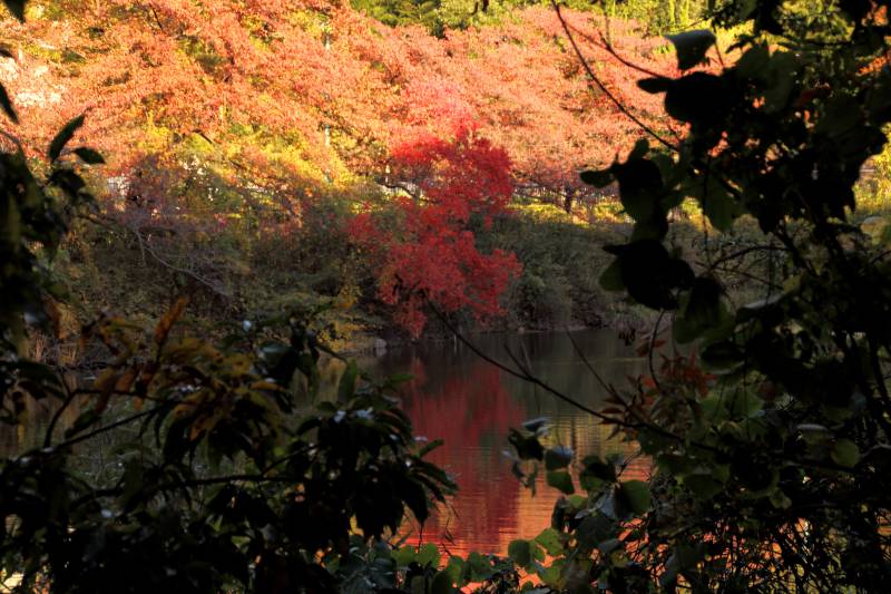 北千里_009水遠池.jpg