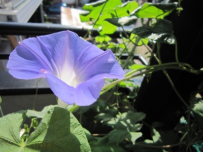 IMG_2465.jpg