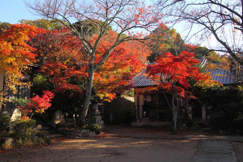 箕面公園_1-3.jpg