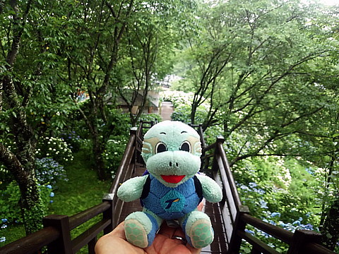 IMG_20160604_161415.jpg