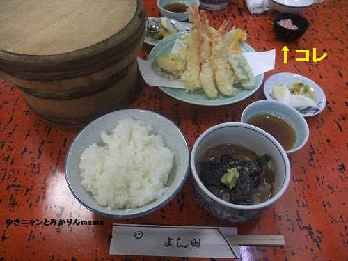 DSCF5305.jpg