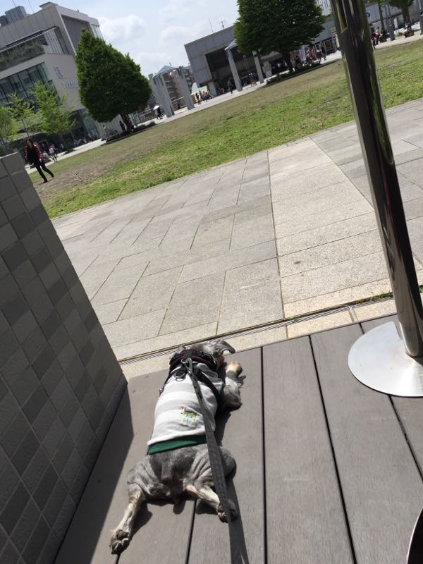 rblog-20160426011721-10.jpg