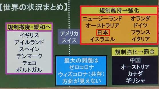 アイルランド デンマークも方向転換 毎日の生活で感じたこと 楽天ブログ