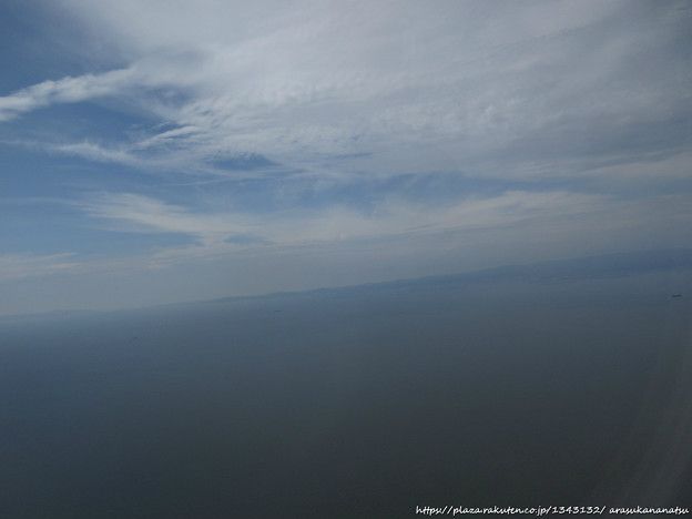 腸の調子を整える5つのフルーツ