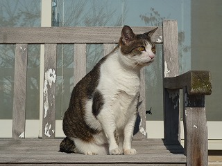 P1270390ss.jpg
