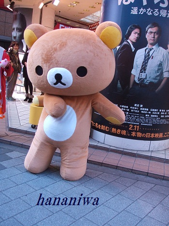 2012_0205トレッサ用寄せ植えとクレマチスの講座とカ0008.JPG