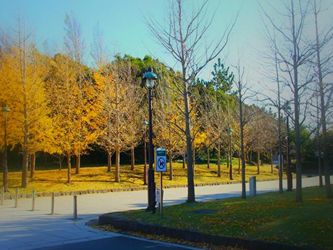 Rinkai Park