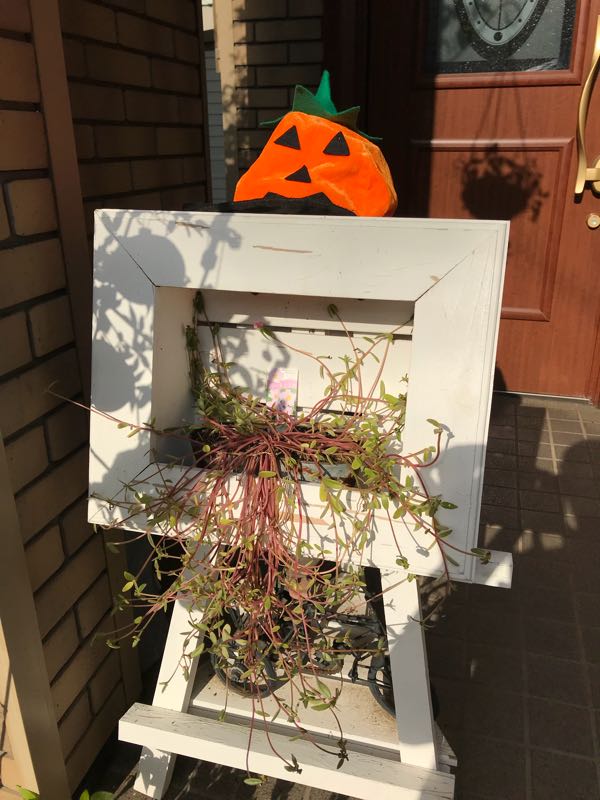 rblog-20181103151333-04.jpg