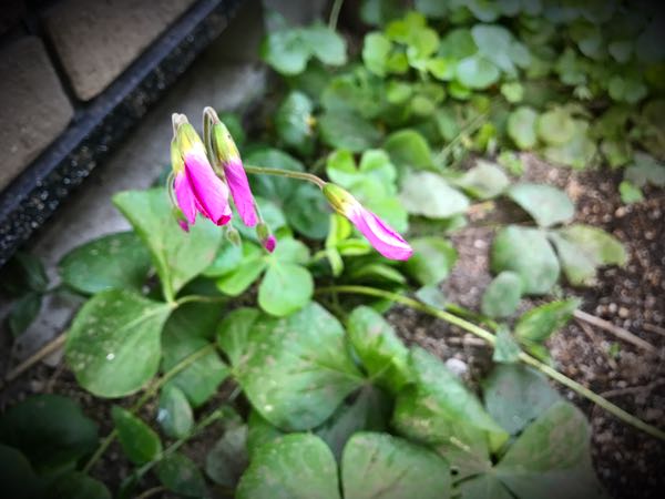 rblog-20161129163332-05.jpg