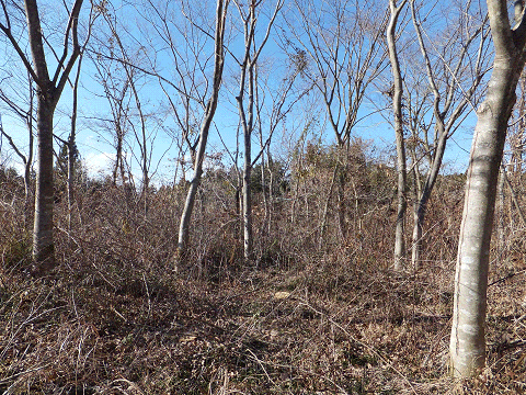 2014121401.gif