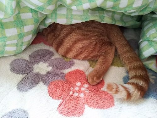 rblog-20180221232623-02.jpg