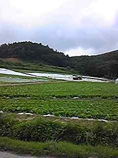 120817_130255.jpg