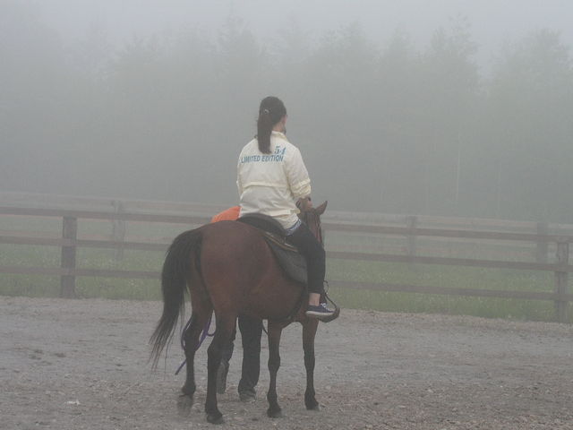 2680590_1699426628_165large.jpg