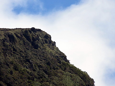 IMG_6428.jpg