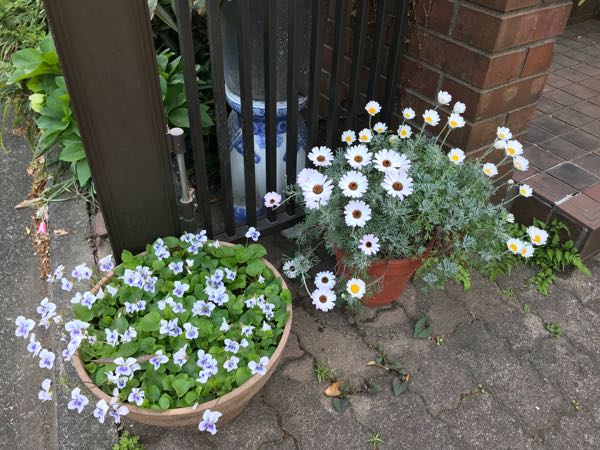 rblog-20180408181528-04.jpg