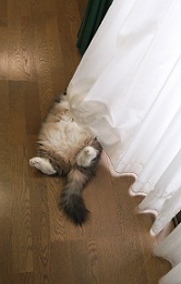 DSC_9357-3.jpg