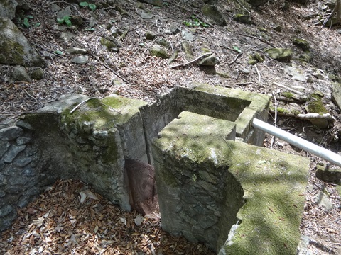 DSC05334.JPG