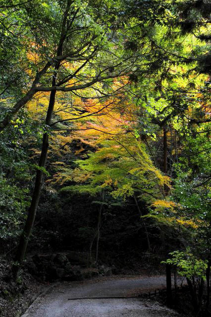 春日山_4-6.jpg