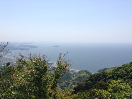 nokogiri3.JPG