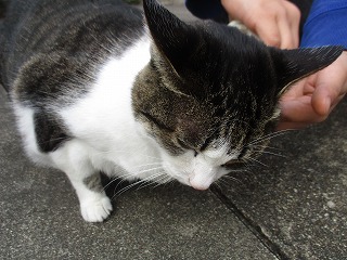 IMG_5349ss.jpg