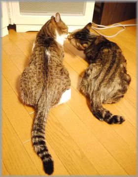 ほんとだね～