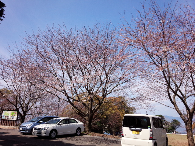 IMG_20150329_121920.jpg