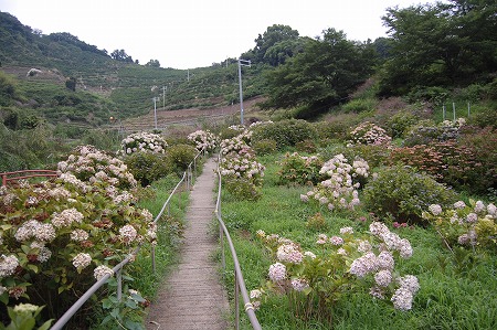 s-DSC_0566.jpg