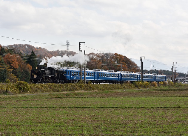 2014.11.30 3号　1　D810.jpg