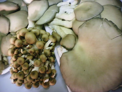 2012_1022_160420-SANY0006.JPG