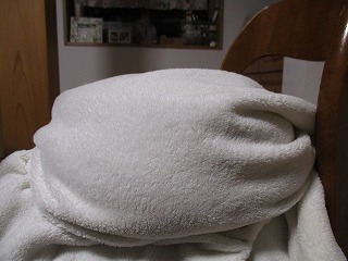 IMG_6542ss.jpg