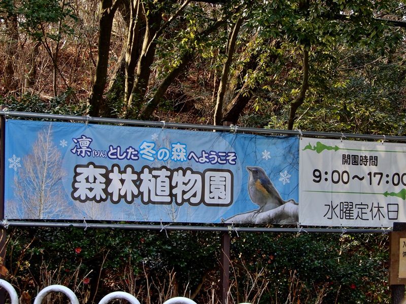 正門前4