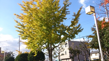 DSC_1993.jpg
