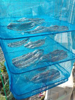 rblog-20141010211032-01.jpg