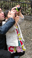 rblog-20130413115645-04.png