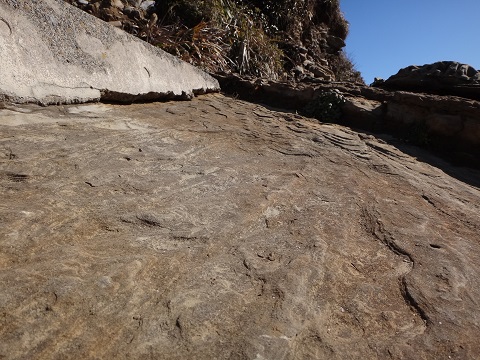 DSC00284.JPG