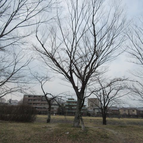 水墨画 峠の向こうに春がある 楽天ブログ