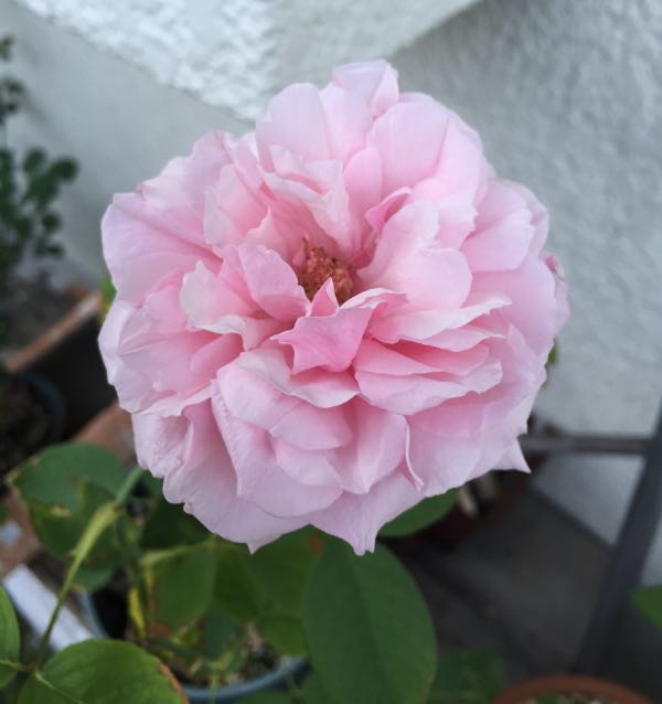 rblog-20160722231238-02.jpg