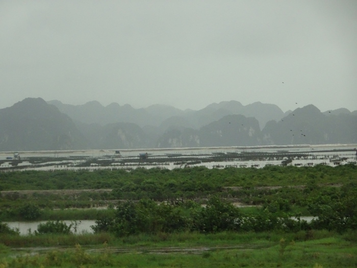 DSC09455_R.JPG