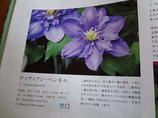 DSC01261.jpg