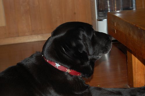 DSC_0351.JPG
