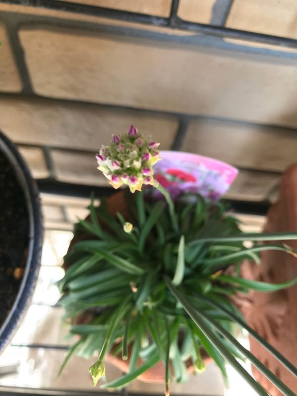 rblog-20180408161916-08.jpg