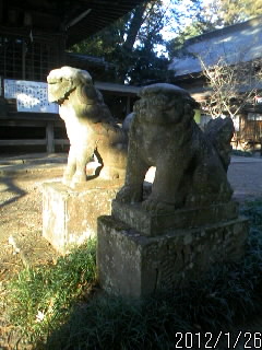 雄琴神社の狛犬２