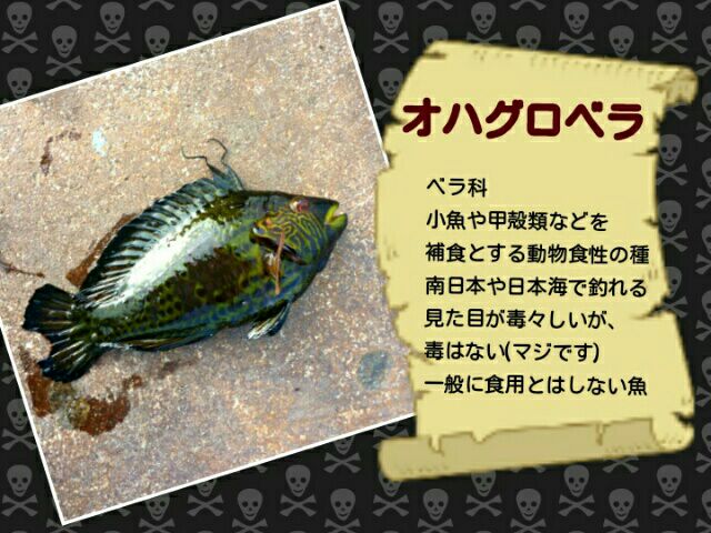 rblog-20140629165413-04.jpg